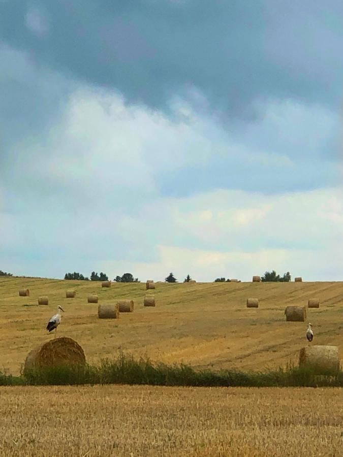 Agroturystyka „Nadbuzanski Swit” Wola Uhruska Екстериор снимка